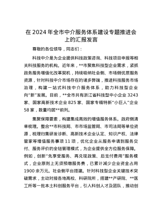 在2024年全市中介服务体系建设专题推进会上的汇报发言.docx