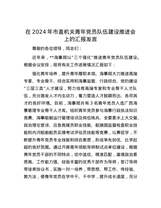 在2024年市直机关青年党员队伍建设推进会上的汇报发言.docx