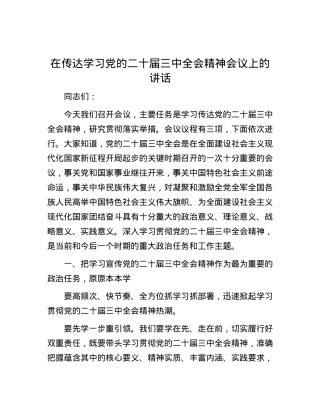 在传达学习党的二十届三中全会精神会议上的讲话.docx