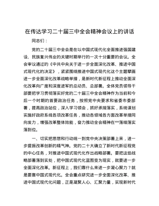 在传达学习二十届三中全会精神会议上的讲话.docx