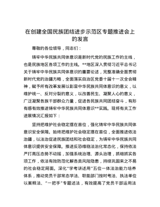 在创建全国民族团结进步示范区专题推进会上的发言.docx