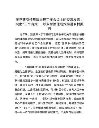 在党建引领基层治理工作会议上的交流发言：突出“三个有效”，以乡村治理成效推进乡村振兴.docx