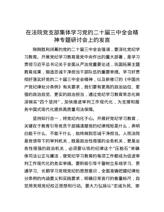 在法院党支部集体学习党的二十届三中全会精神专题研讨会上的发言.docx