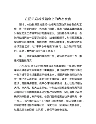 在防汛迎检反馈会上的表态发言.docx
