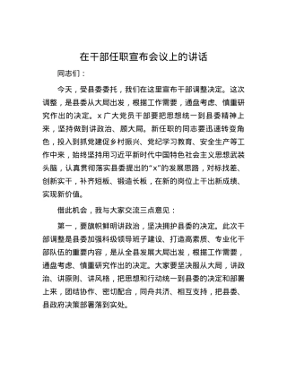 在干部任职宣布会议上的讲话.docx