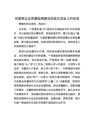 在国有企业党建品牌建设经验交流会上的发言.docx