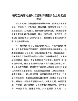 在红色美丽村庄试点建设调研座谈会上的汇报发言.docx
