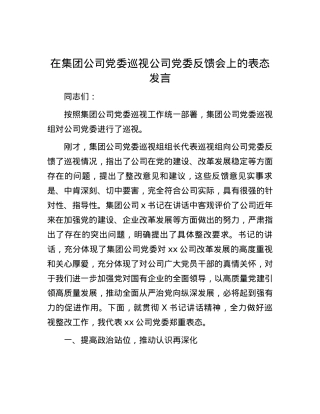 在集团公司党委巡视公司党委反馈会上的表态发言.docx