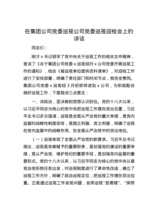 在集团公司党委巡视公司党委巡视迎检会上的讲话.docx