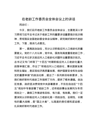 在老龄工作委员会全体会议上的讲话.docx
