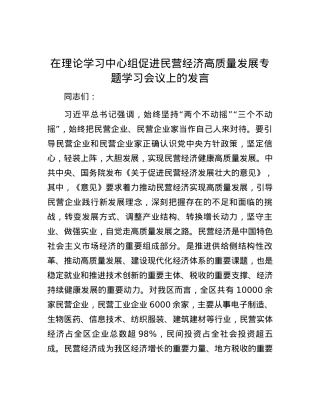 在理论学习中心组促进民营经济高质量发展专题学习会议上的发言.docx