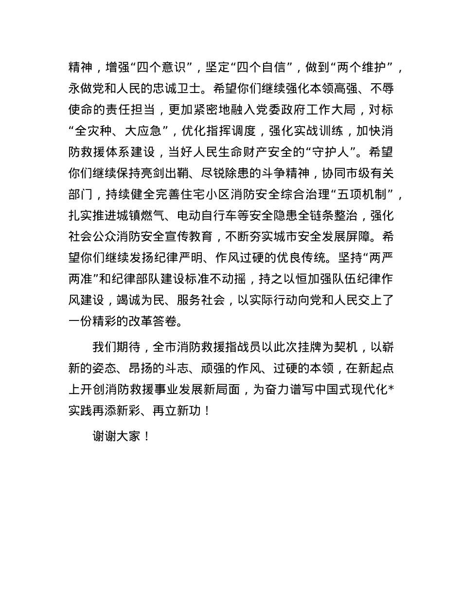 在某市消防救援支队加挂“消防救援局”牌子仪式上的讲话.docx_第2页