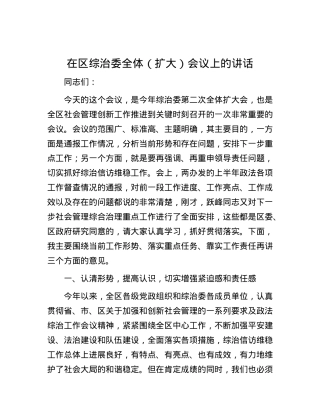 在区综治委全体（扩大）会议上的讲话.docx