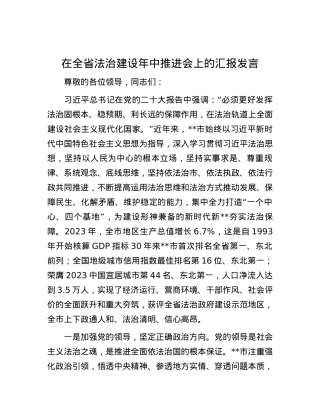 在全省法治建设年中推进会上的汇报发言.docx