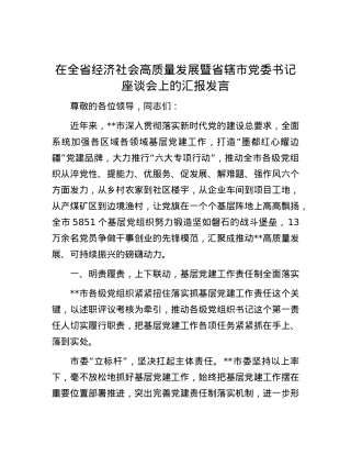 在全省经济社会高质量发展暨省辖市党委书记座谈会上的汇报发言.docx