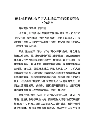 在全省新的社会阶层人士统战工作经验交流会上的发言.docx