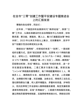 在全市“三零”创建工作暨平安建设专题推进会上的汇报发言.docx