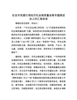 在全市党建引领经济社会高质量发展专题推进会上的汇报发言.docx