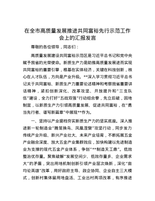 在全市高质量发展推进共同富裕先行示范工作会上的汇报发言.docx