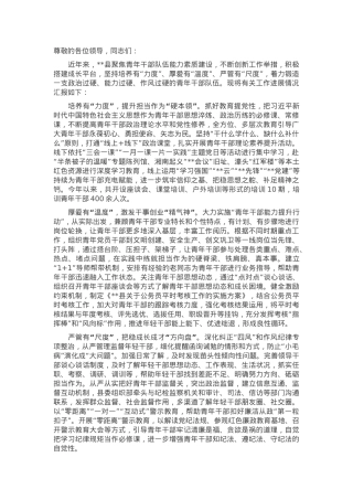 在全市青年干部队伍能力素质建设推进会上的汇报发言.docx