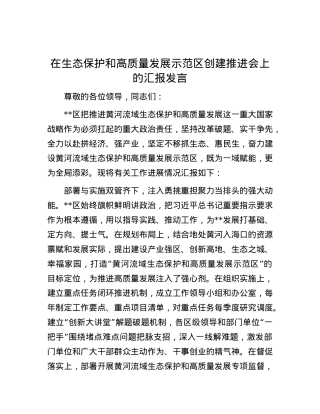 在生态保护和高质量发展示范区创建推进会上的汇报发言.docx