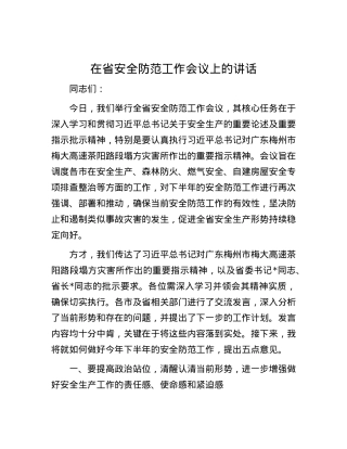 在省安全防范工作会议上的讲话.docx