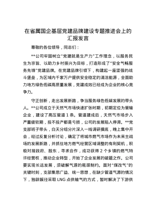 在省属国企基层党建品牌建设专题推进会上的汇报发言.docx