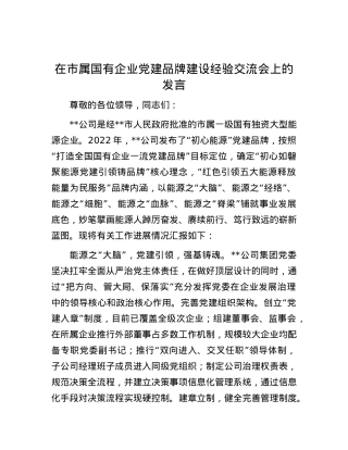 在市属国有企业党建品牌建设经验交流会上的发言.docx