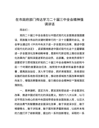 在市政府部门传达学习二十届三中全会精神强调讲话.docx
