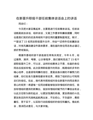 在新晋升职级干部任前集体谈话会上的讲话.docx