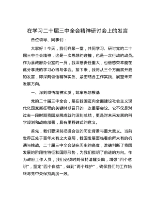 在学习二十届三中全会精神研讨会上的发言.docx