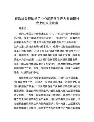 在政法委理论学习中心组新质生产力专题研讨会上的交流发言.docx