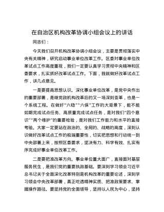 在自治区机构改革协调小组会议上的讲话.docx