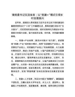 镇党委书记交流发言：以“党建+”模式引领乡村全面振兴.docx