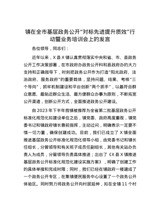 镇在全市基层政务公开“对标先进提升质效”行动暨业务培训会上的发言.docx