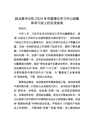 政法委书记在2024年市委理论学习中心组集体学习会上的交流发言.docx