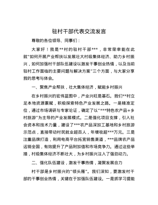 驻村干部代表交流发言.docx