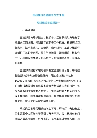 (3篇)班组建设自查报告范文.docx