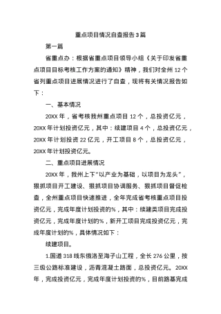 (3篇)重点项目情况自查报告.docx