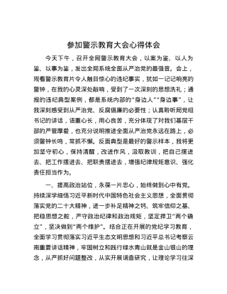 参加警示教育大会心得体会.docx
