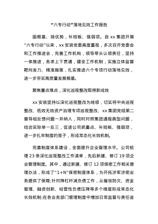 “六专行动”落地见效工作报告.docx
