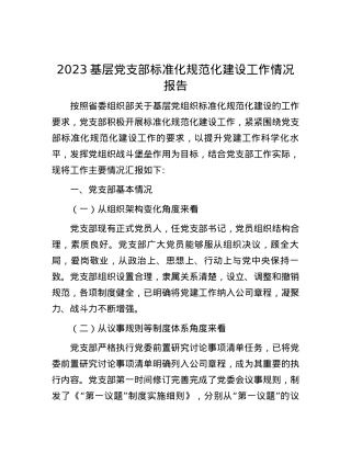 2023基层党支部标准化规范化建设工作情况报告.docx