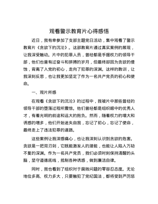 观看警示教育片心得感悟.docx