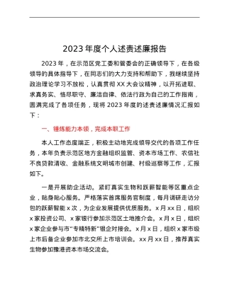 2023年度个人述责述廉报告 (3).docx