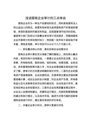 浅谈国有企业审计的三点体会.docx