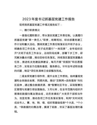 2023年度书记抓基层党建工作报告.docx