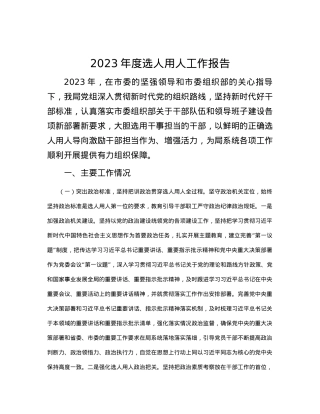 2023年度选人用人工作报告.docx