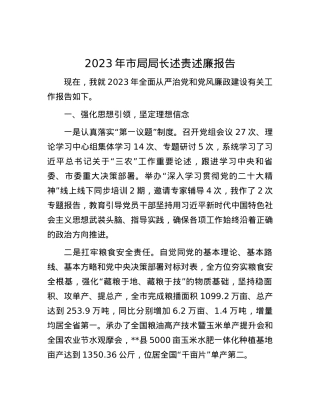 2023年市局局长述责述廉报告.docx