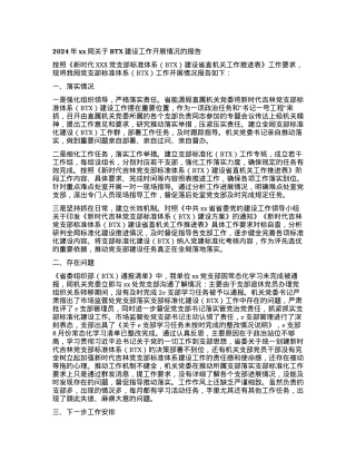 2024年xx局关于BTX建设工作开展情况的报告.docx