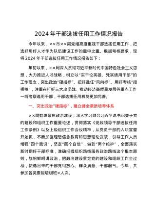 2024年干部选拔任用工作情况报告.docx